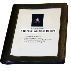 Financial Wellness Report