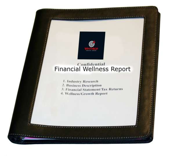 Financial Wellness Report